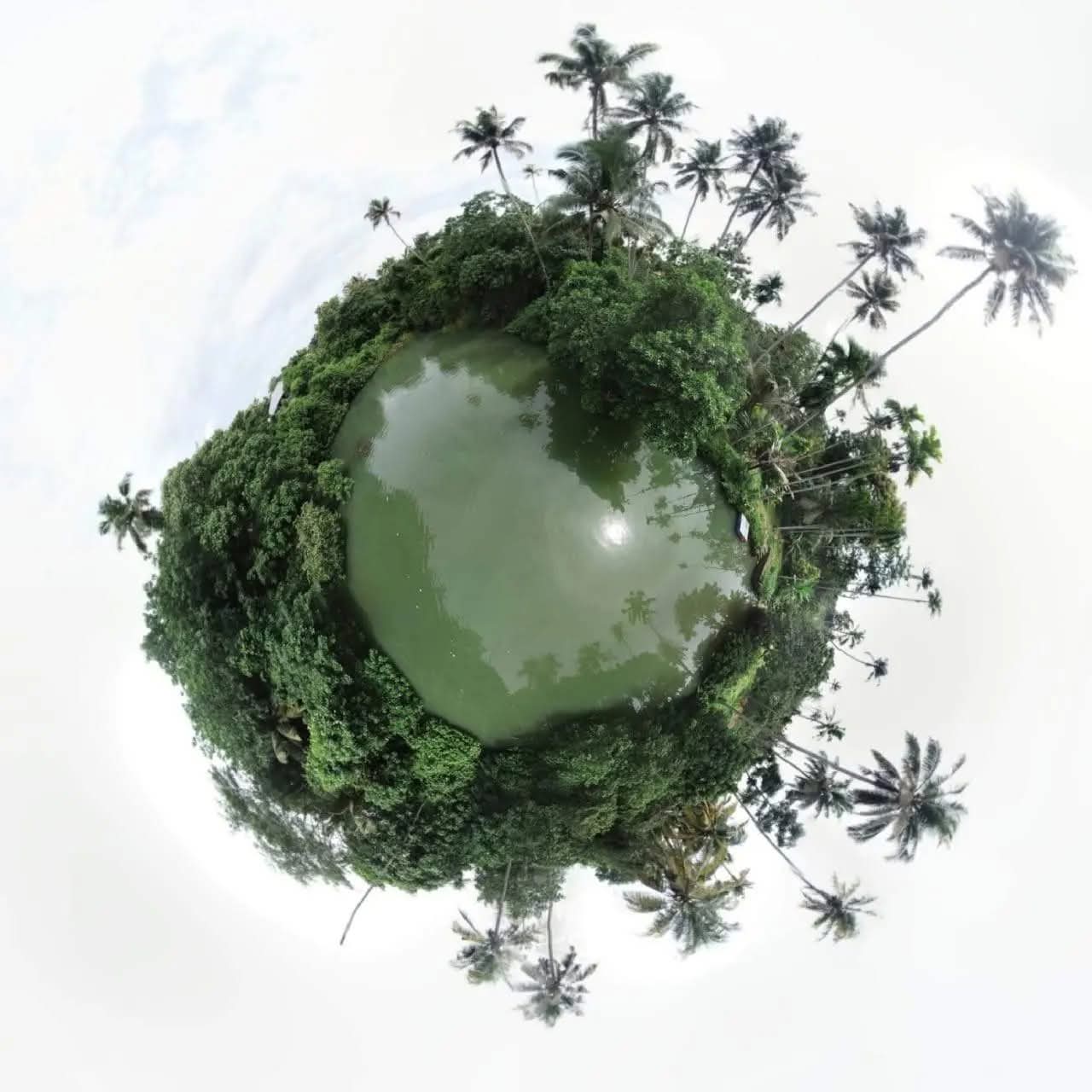 Sky view of Mashikulam Natural Pond