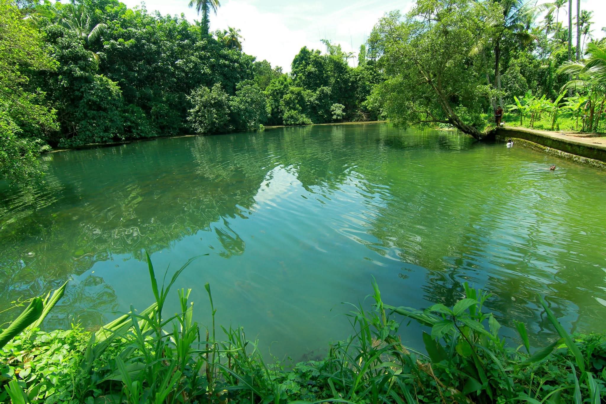 Mashikulam Natural Pond